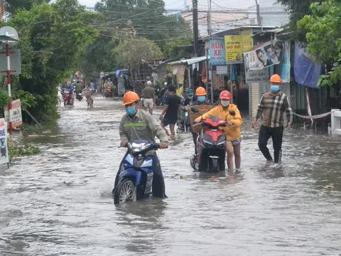 Khánh Hòa: Thiệt hại do mưa lũ ước khoảng 246 tỷ đồng