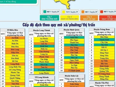 Đồng Nai: Hơn 50% xã, phường đang ở cấp độ dịch 2