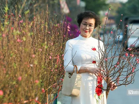 Đào Nhật Tân xuống phố sớm phục vụ người dân chơi Tết sớm