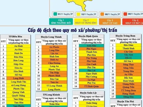 Đồng Nai: 10/11 huyện, thành phố đang ở cấp độ dịch 2