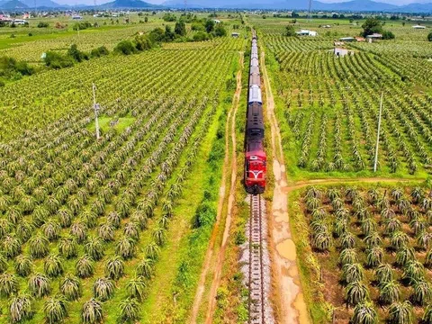 Bình Thuận không còn vùng đỏ, số ca nhiễm Covid-19 giảm sâu