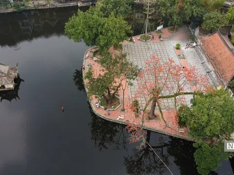 Ngắm Hà Nội rực rỡ mùa hoa tháng 3