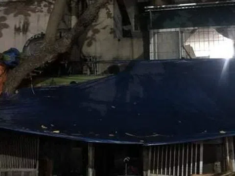 Hà Nội: Cháy lớn ở Kim Liên, 5 người trong gia đình tử vong thương tâm