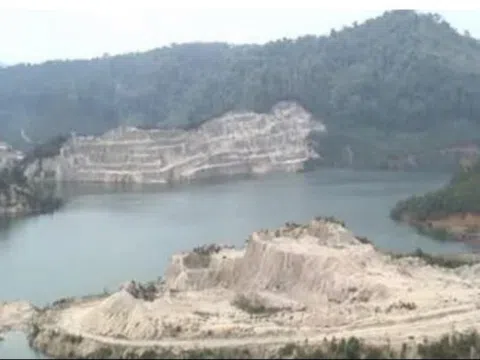 Kon Tum: Thủy điện tích nước làm chết hàng chục héc ta rừng