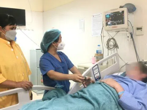 Tin tức đời sống ngày 10/5: Người đàn ông nguy kịch vì bị ong vò vẽ đốt