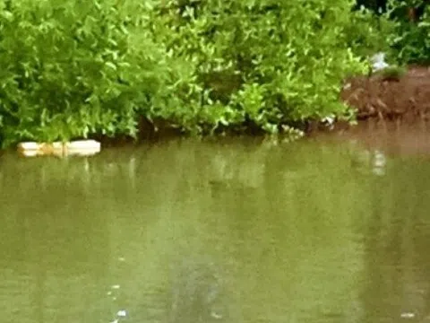 Tìm thấy thi thể bé gái 2 tuổi ngã xuống kênh xáng Cà Mau – Bạc Liêu