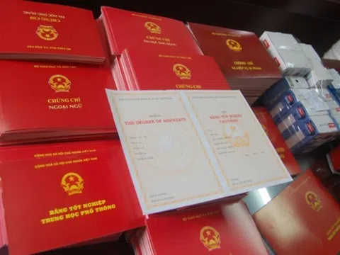 Bình Thuận: Kiểm tra, rà soát văn bằng, chứng chỉ của cán bộ công chức, viên chức