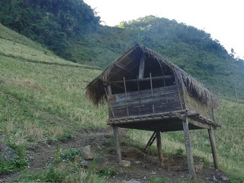 Lời cảnh báo sau vụ thiếu niên lang bạt thành kẻ giết người, cướp của