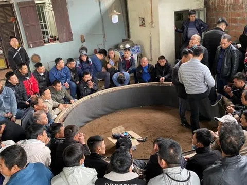 Phá trường đá gà “khủng” ở Quảng Ninh, bắt giữ 59 con bạc