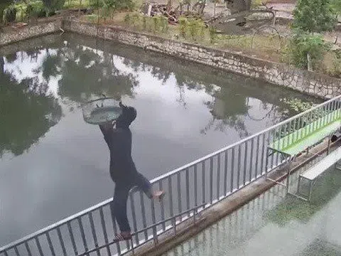 3 đôi giày vải tố cáo đối tượng chuyên trộm cắp chim cảnh