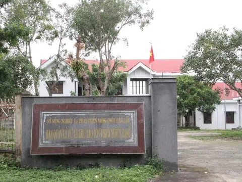 Phát hiện một vụ phá rừng quy mô lớn trong khu bảo tồn ở Đắk Lắk