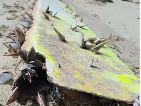 Bất ngờ manh mối mới phá vỡ bí ẩn sự mất tích của MH370 nhiều năm?