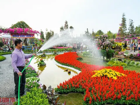 Độc đáo hàng nghìn chậu hoa kết thành bản đồ Việt Nam