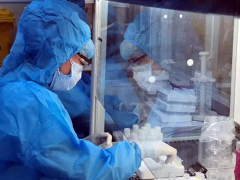 Việt Nam phát hiện ca mắc COVID-19 đầu tiên nhiễm chủng virus Corona mới của Anh