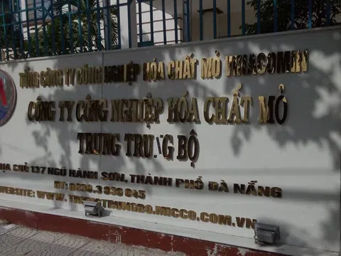 Đà Nẵng: Covid-19 khiến vụ việc thanh tra gần một năm chưa xong