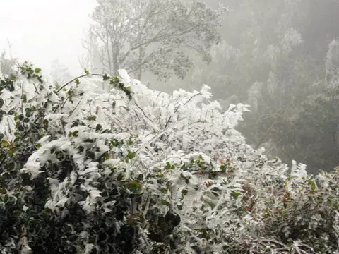 Đợt rét kỷ lục thứ 3 nền nhiệt xuống dưới 0 độ, có mưa tuyết