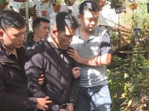 Bắt đối tượng gây ra hơn 30 vụ trộm cắp, đào hầm ẩn nấp, giấu ma túy