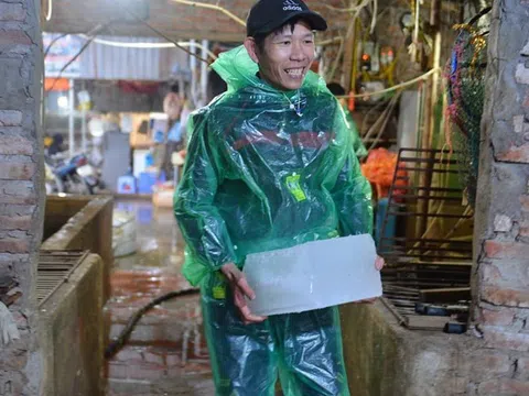 Những đôi tay trần bê đá và ngâm trong nước giữa trời rét dưới 10 độ