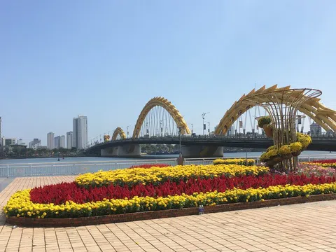 Đà Nẵng chi hơn 10 tỷ đồng trang trí hoa Tết Nguyên đán