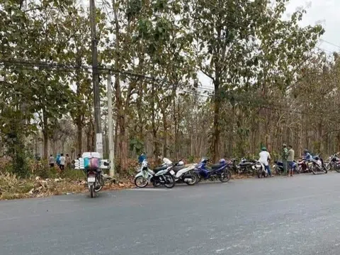 Điều tra vụ phát hiện bộ xương người trong rừng cây giá tỵ ở Bà Rịa-Vũng Tàu