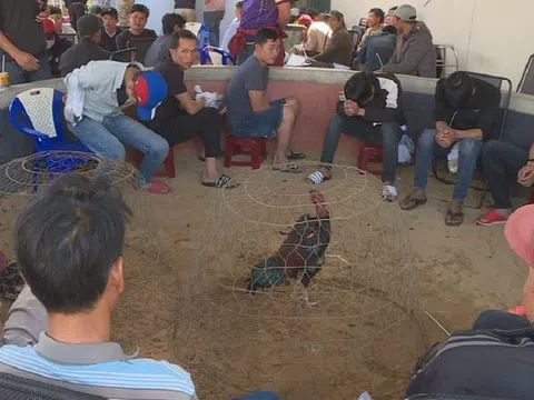 Bắt giữ 47 đối tượng đá gà núp bóng cá cược bằng bia, thuốc lá