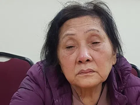 Bắt giữ cụ bà U80 gây ra hàng loạt vụ trộm cắp ở đất Cảng