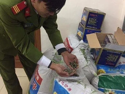 Thu giữ hơn 1 tấn hạt hướng dương tẩm ướp gia vị toàn chữ Trung Quốc