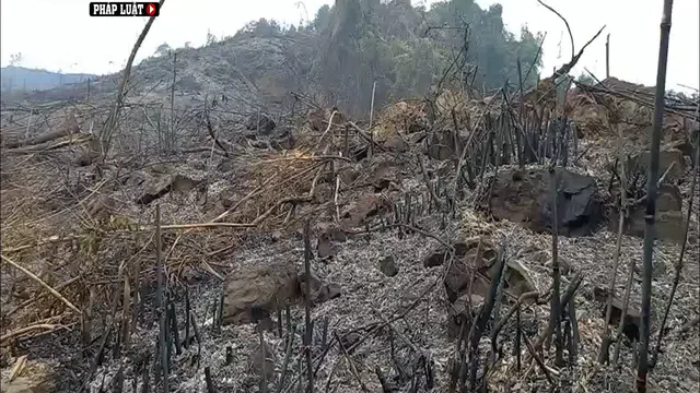 Vụ huỷ hoại rừng đầu nguồn ở Hoà Bình: (Bài 1) Tự xưng chủ rừng, mang 'Thanh tra Bộ...' doạ phóng viên